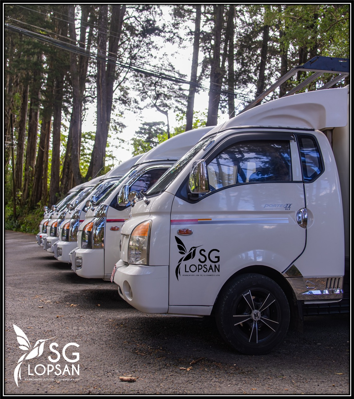 SG LOPSAN SRL - Galería 23